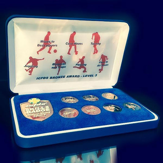 ICFDS Skills Badge Scheme Level 3 Award (Bronze)