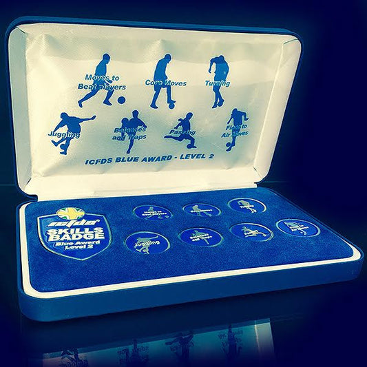 ICFDS Skills Badge Scheme Level 2 Award (Blue)
